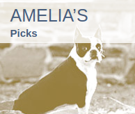 See what great Schiffer title Amelia is recommending for your next read.