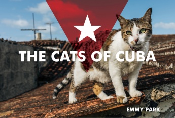 The Cats of Cuba The Cats of Cuba