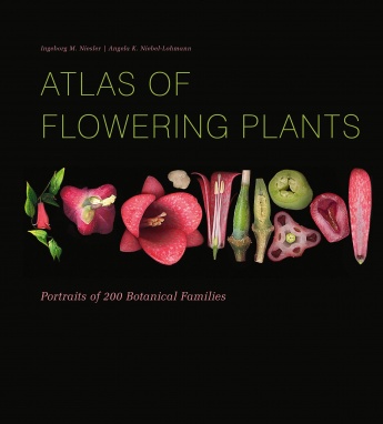 Atlas of Flowering Plants: Visual Studies of 200 Decontructed Botanical Families Atlas of Flowering Plants: Visual Studies of 200 Decontructed Botanical Families