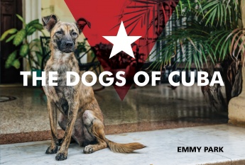 The Dogs of Cuba The Dogs of Cuba