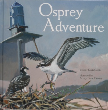 Osprey Adventure Osprey Adventure