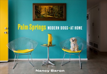 Palm Springs Modern Dogs at Home Palm Springs Modern Dogs at Home