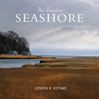 The Timeless Seashore The Timeless Seashore